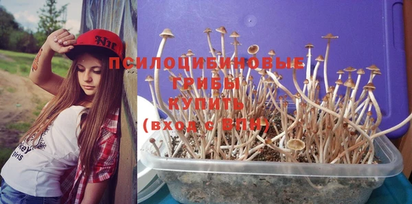 винт Зеленокумск