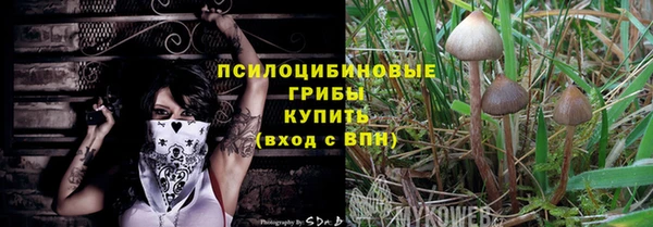 винт Зеленокумск