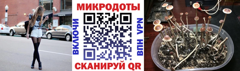 блэк спрут сайт  Мамоново  Галлюциногенные грибы ЛСД  купить наркотики сайты 